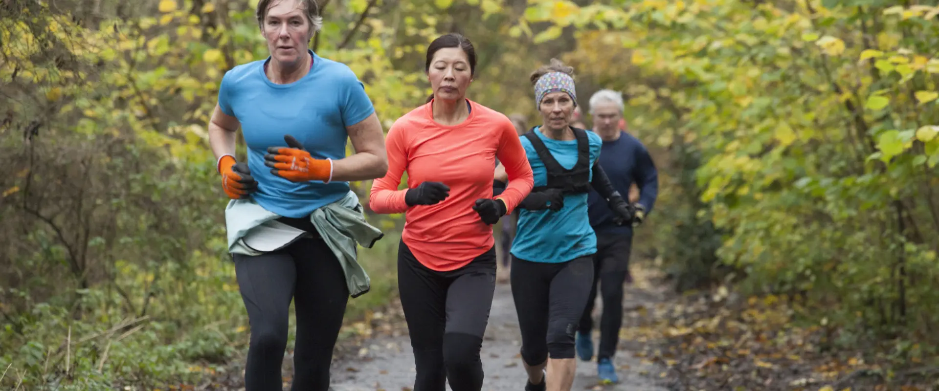 Group of four adults jogging together on a forest 2025 04 05 05 59 36 utc