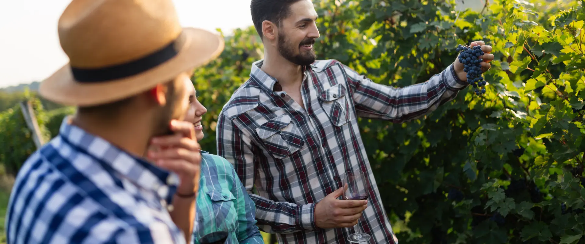 Portrait of happy people spending time in vineyard 2025 03 14 23 38 43 utc