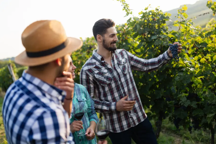 Portrait of happy people spending time in vineyard 2025 03 14 23 38 43 utc
