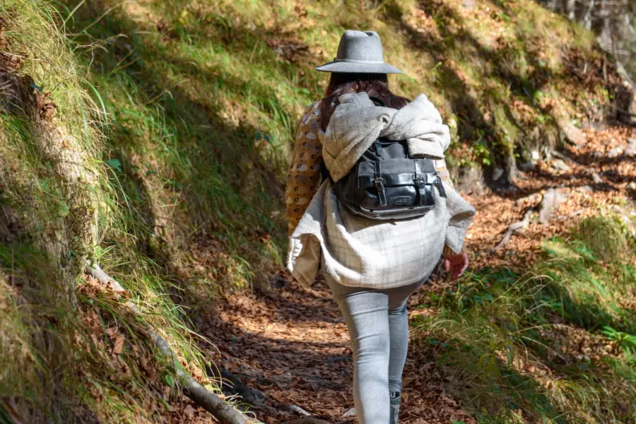Rear view of girl wearing backpack hiking in fore 2025 02 02 20 22 56 utc min