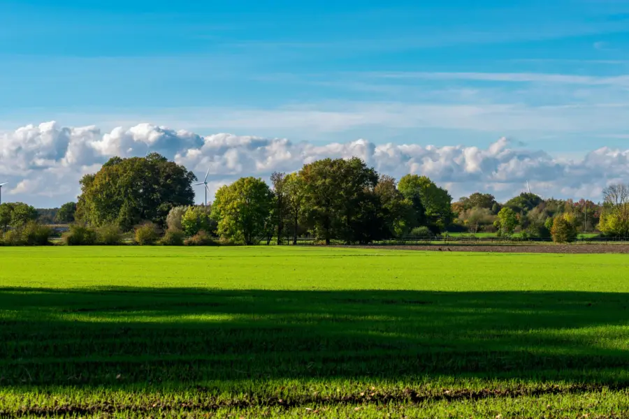 Pexels strannik sk 34468137