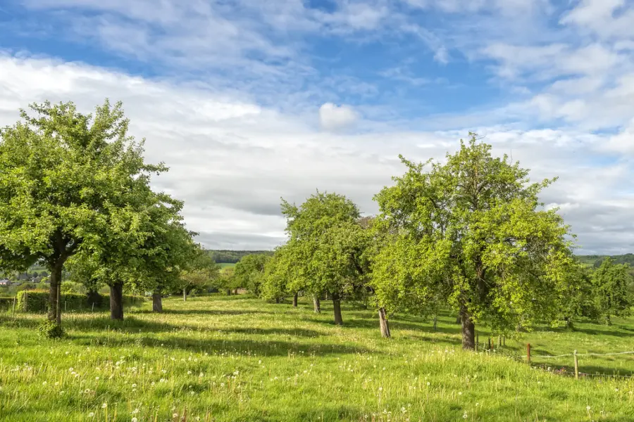 32912169097 bd9b3871b0 b