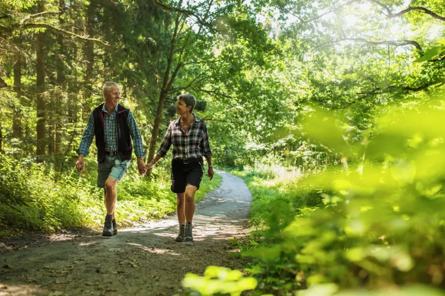 Couple walking in forest 2026 01 05 05 54 07 utc 1